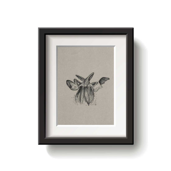 A framed bird drawing on a white background.