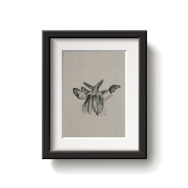 A framed bird drawing on a white background.