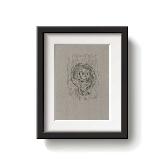 A framed bird drawing on a white background.