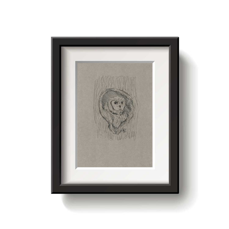 A framed bird drawing on a white background.