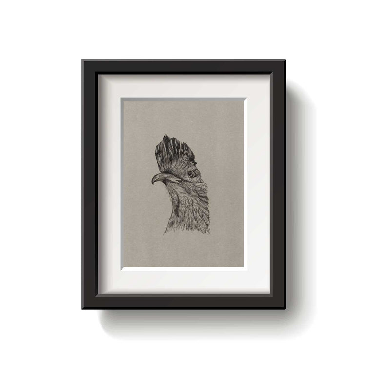 Greater Roadrunner