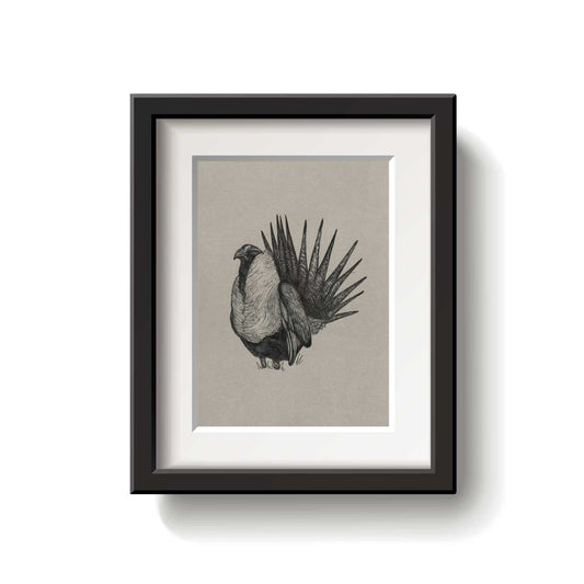 A framed bird drawing on a white background.