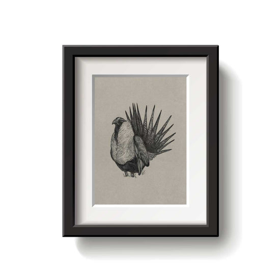 A framed bird drawing on a white background.