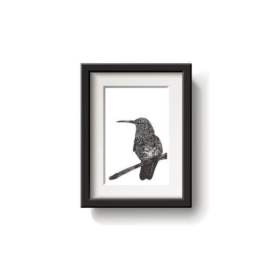 Hummingbird