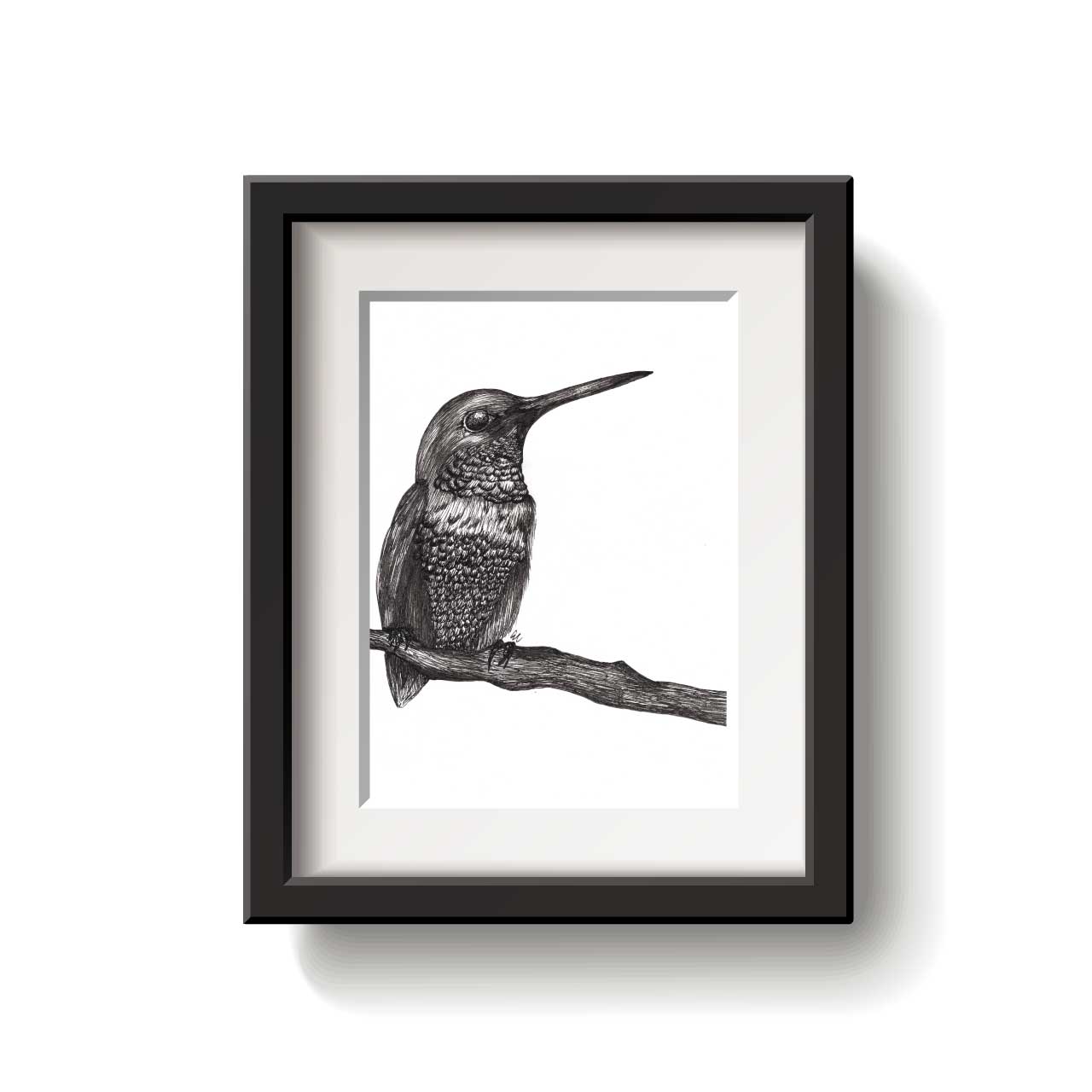 A framed bird drawing on a white background.
