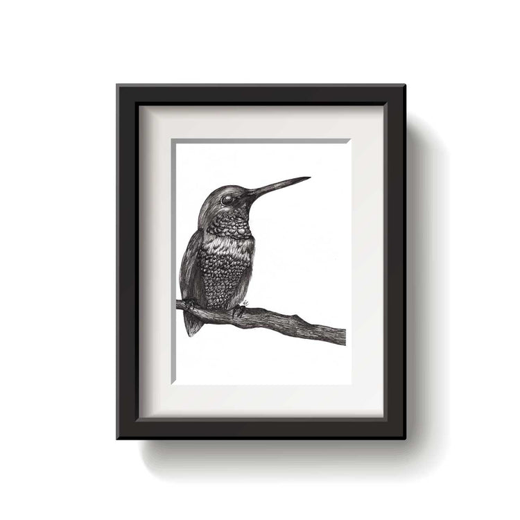 A framed bird drawing on a white background.