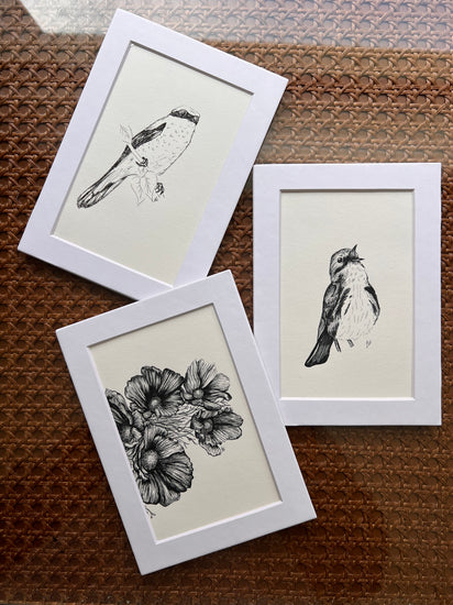Three matted black and white drawings of birds and flowers on a textured surface.