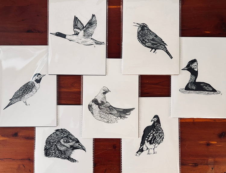 Set of original drawings of black and white bird illustrations on a wooden surface