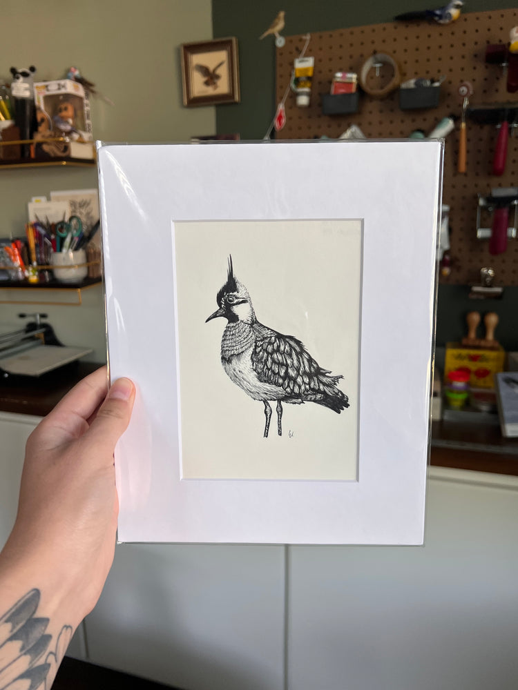 Matted illustration of a bird held by a person in a workshop setting