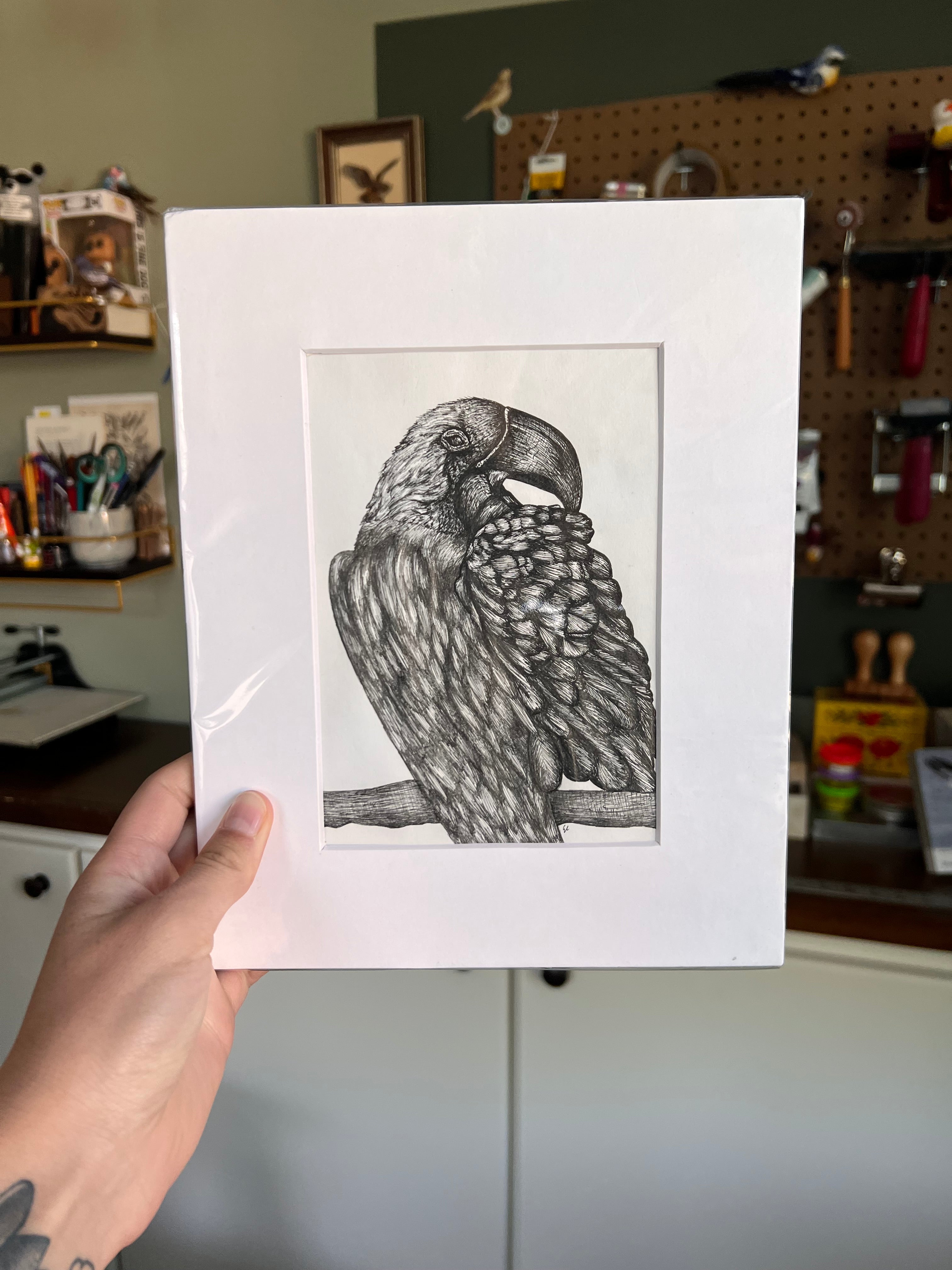 Matted illustration of a bird held by a person in a workshop setting