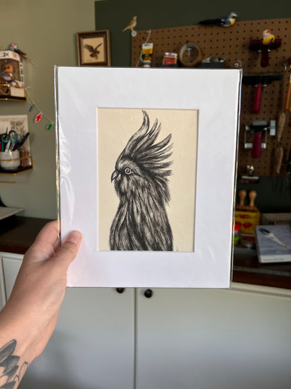 Matted illustration of a bird held by a person in a workshop setting
