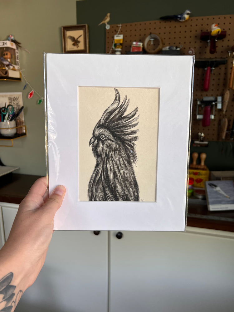 Matted illustration of a bird held by a person in a workshop setting