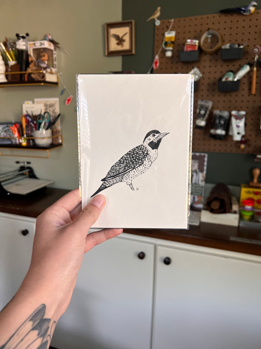 Matted illustration of a bird held by a person in a workshop setting