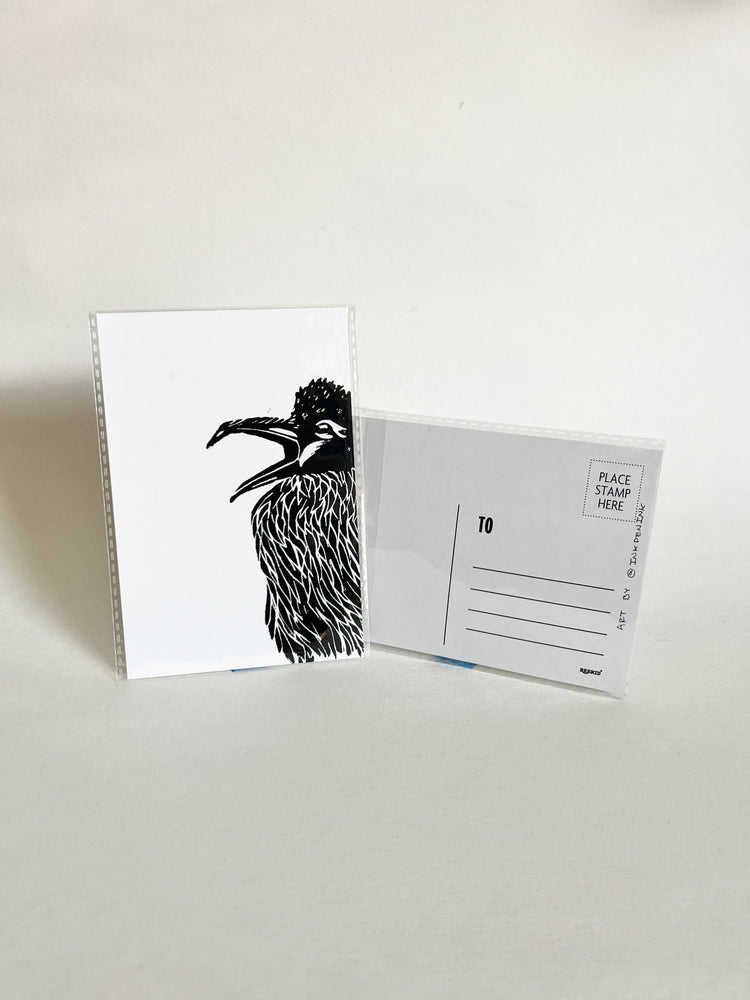Crow Postcards