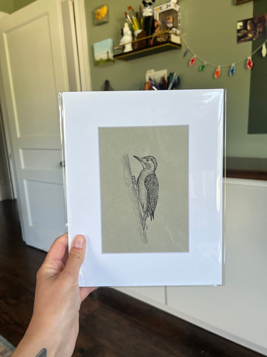 A hand holding a framed bird drawing.
