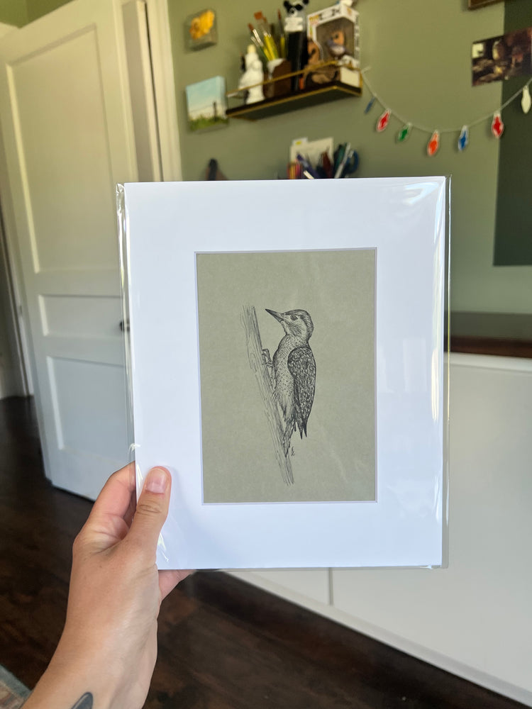 A hand holding a framed bird drawing.