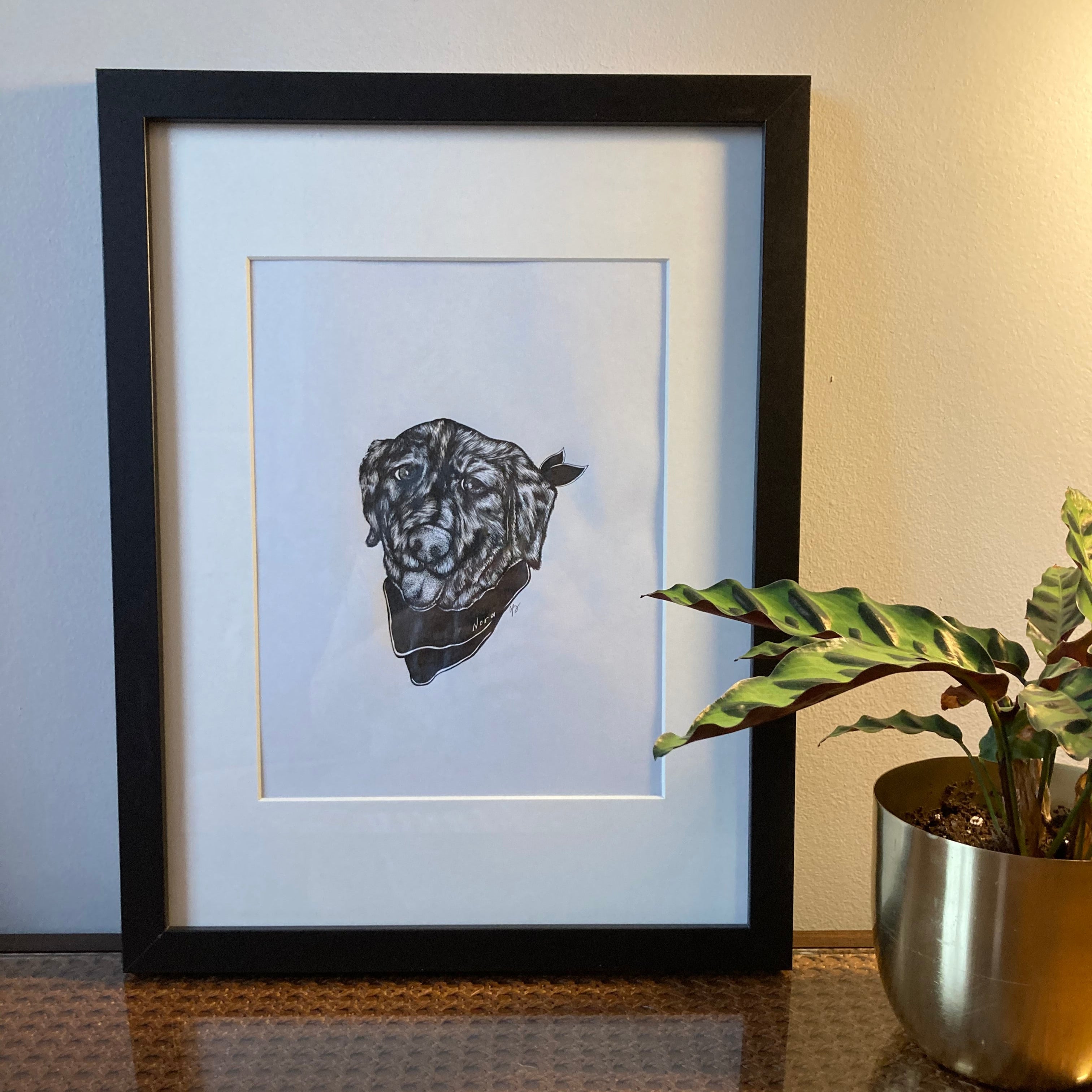 Custom commissioned drawing of a dog by Emily Ciecka