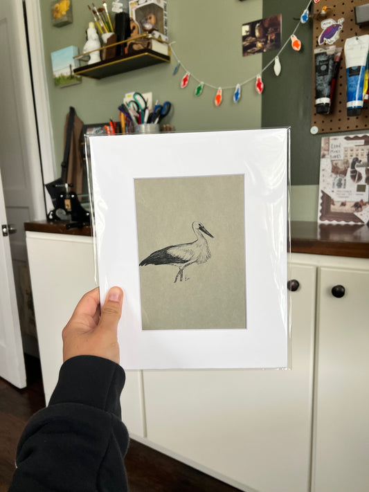 White Stork