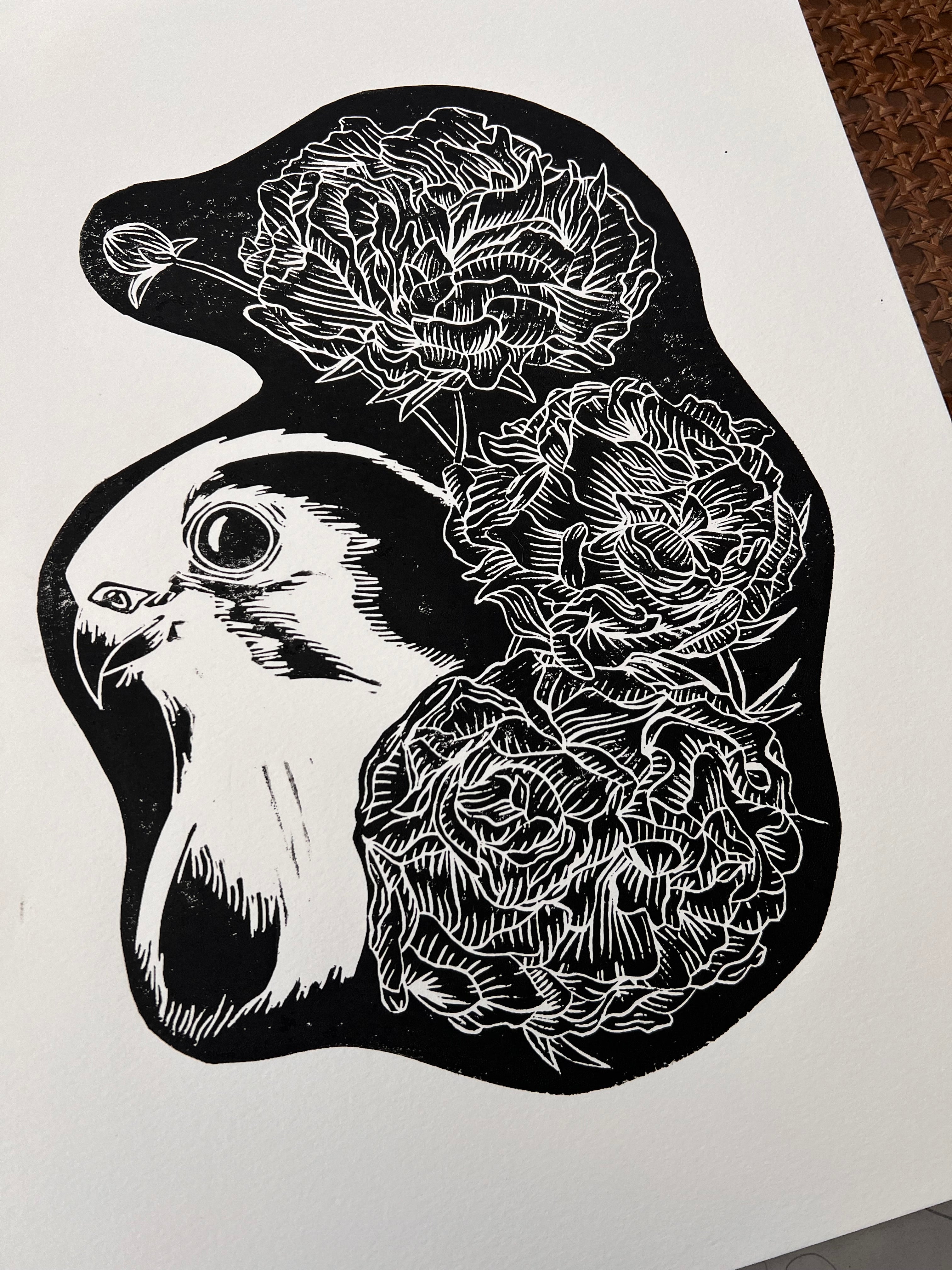 Kestrel Lino Print by Emily Ciecka