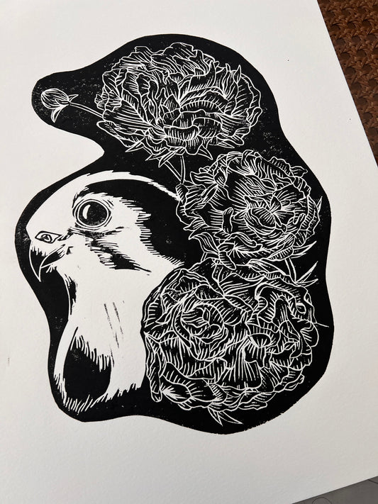 Kestrel Lino Print by Emily Ciecka