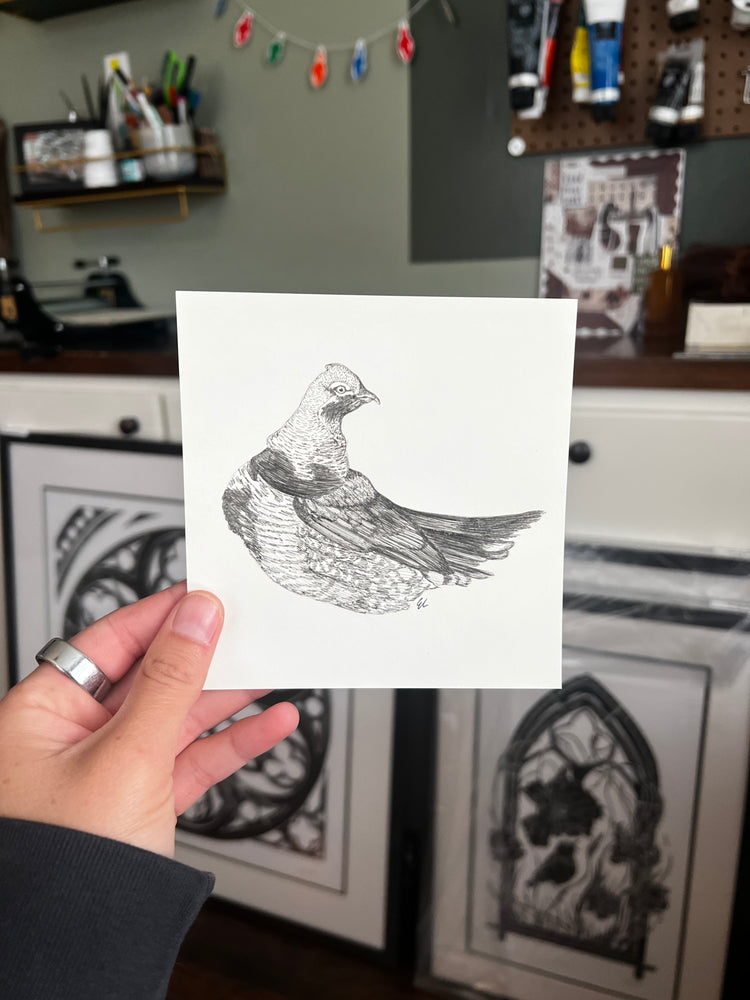 Spruce Grouse