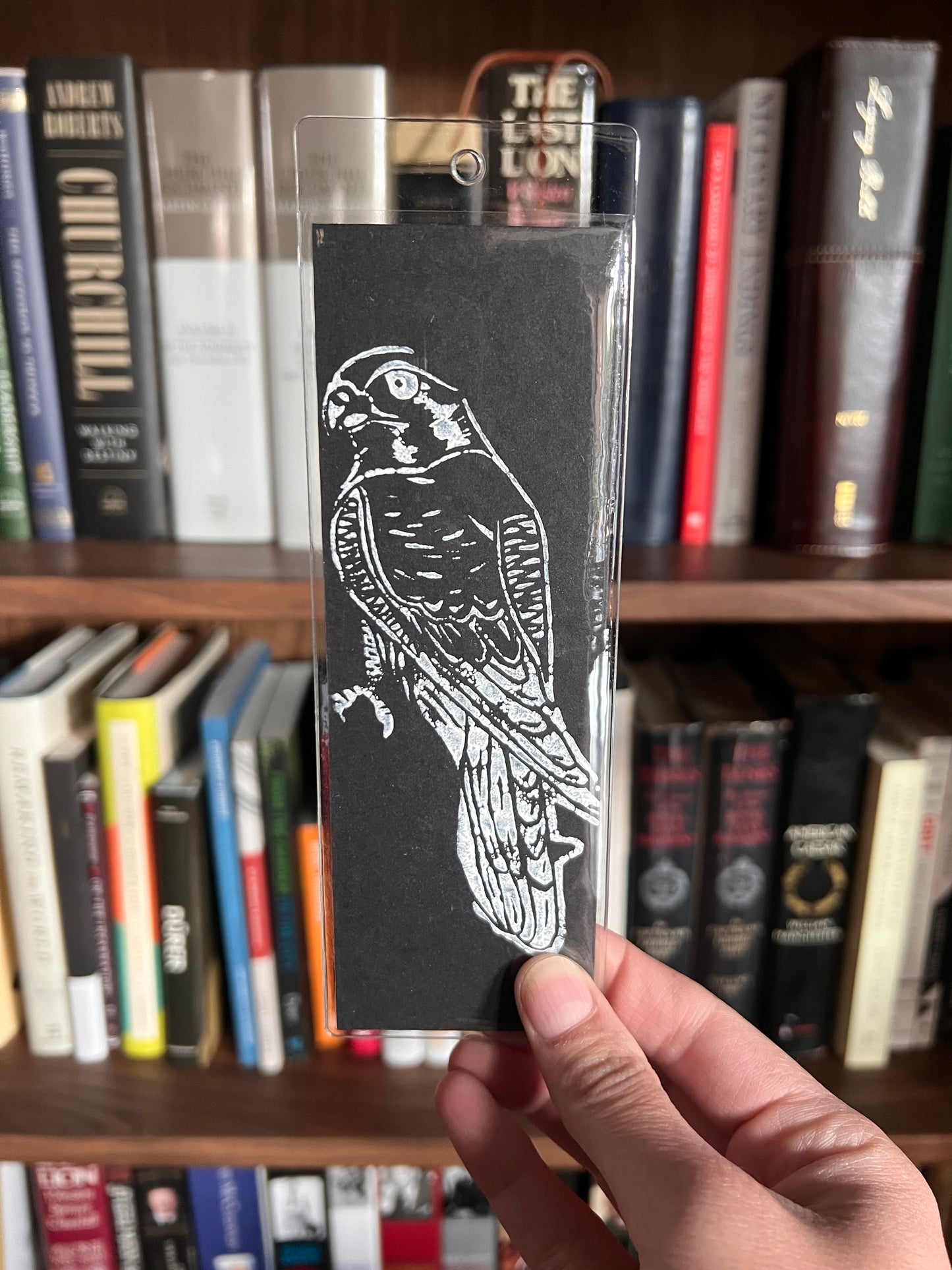 American Kestrel Bookmark