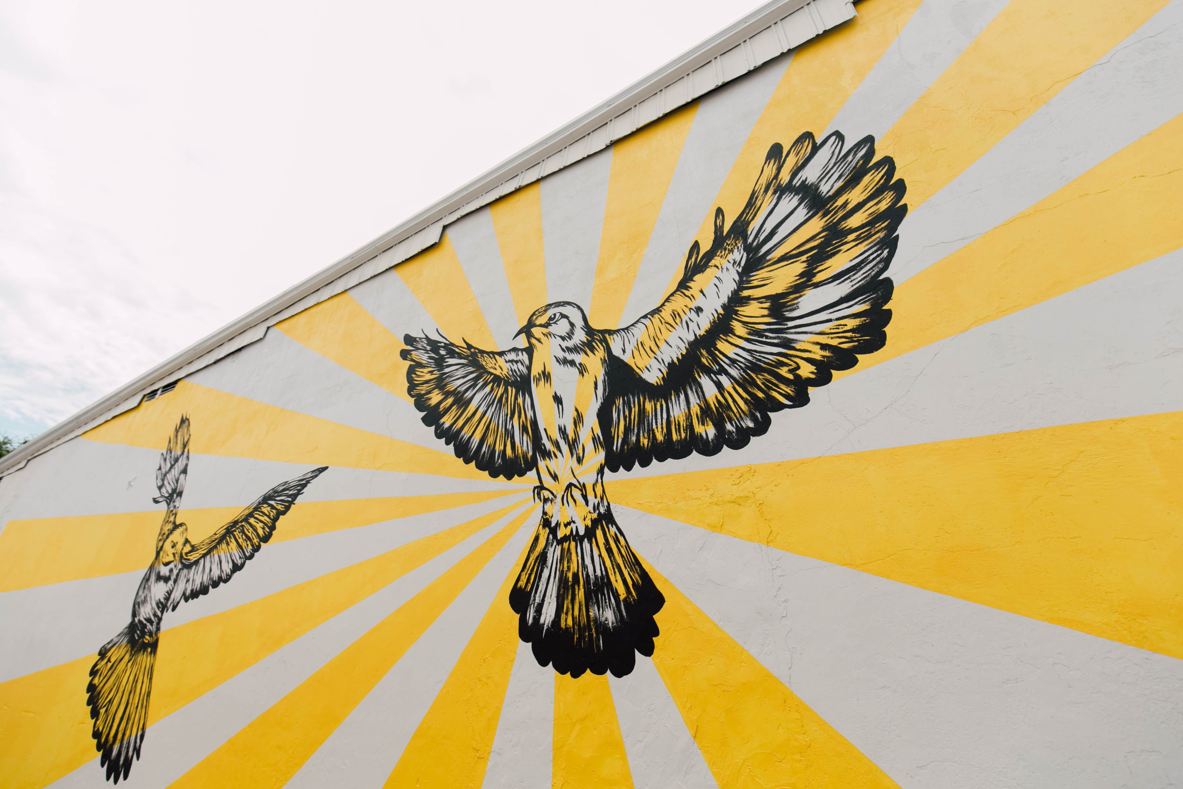 Mural of two birds on a wall with yellow and gray sunburst design
