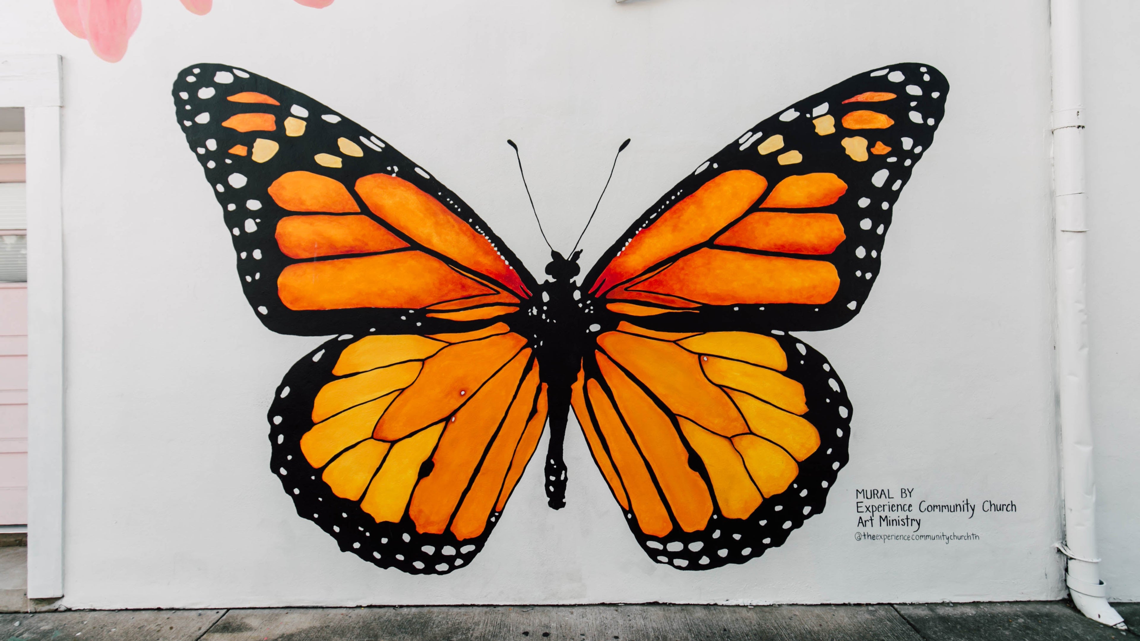 Mural of a butterfly on a white wall with pink leaves.