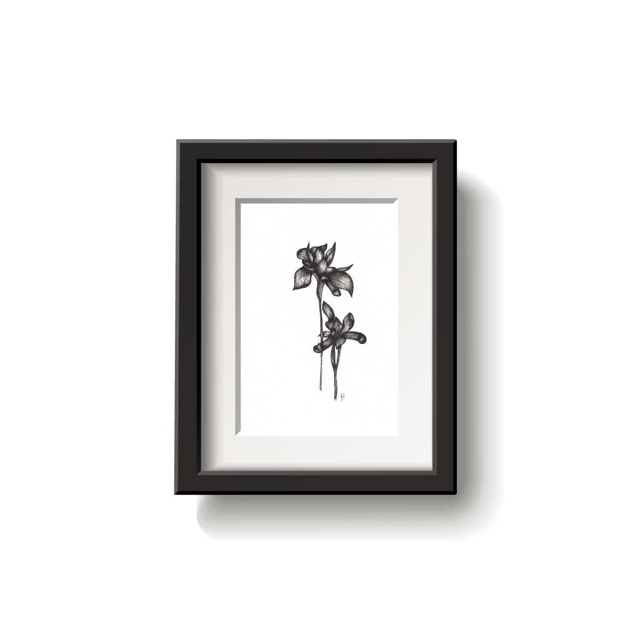 A framed flower drawing on a white background.
