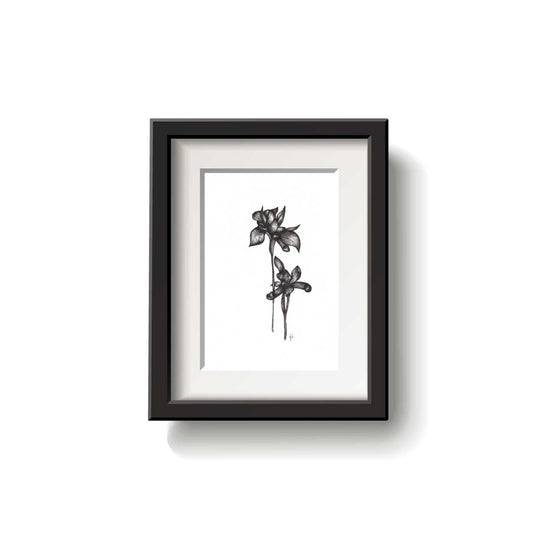 A framed flower drawing on a white background.