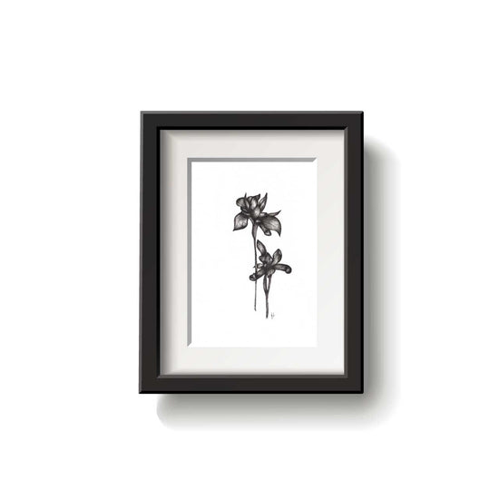 A framed flower drawing on a white background.