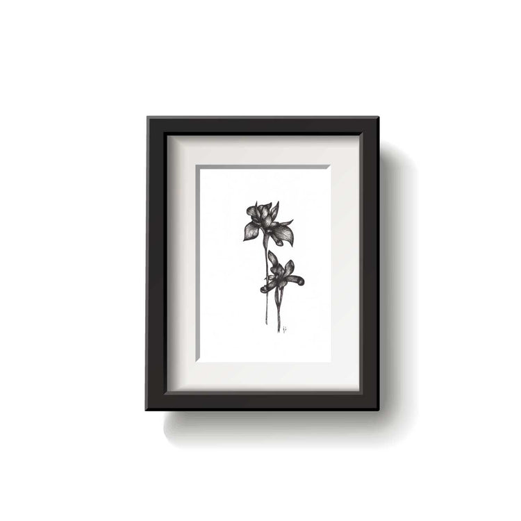 A framed flower drawing on a white background.