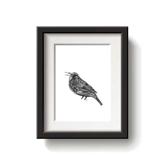 Black and white illustration of a Long Tailed Meadowlark bird on a white background