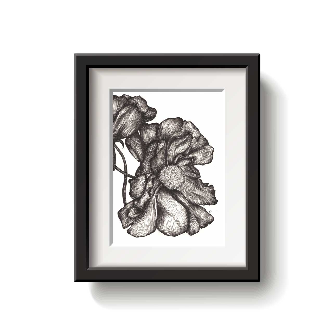 A framed flower drawing on a white background.
