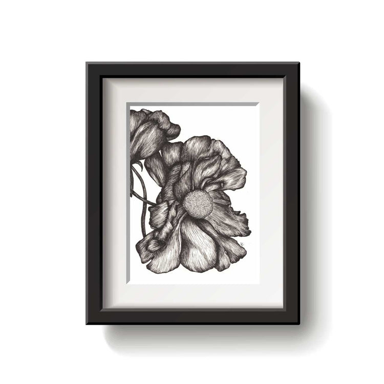 A framed flower drawing on a white background.