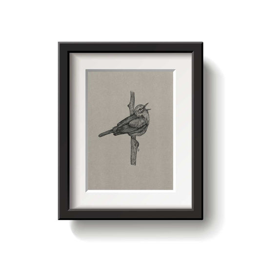 A framed bird drawing on a white background.