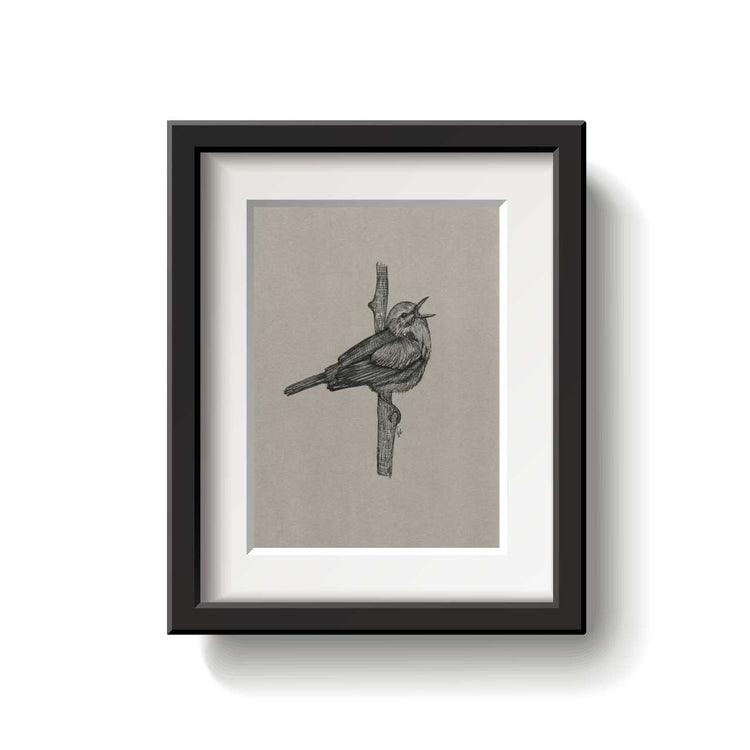 A framed bird drawing on a white background.