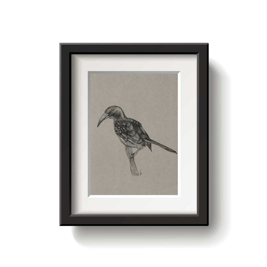 A framed bird drawing on a white background.