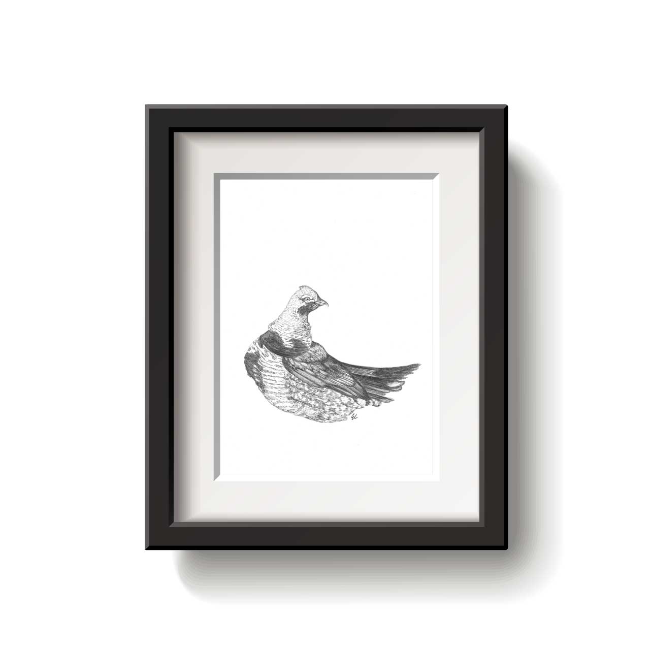 Black and white artwork of a Spruce Grouse bird on a white background