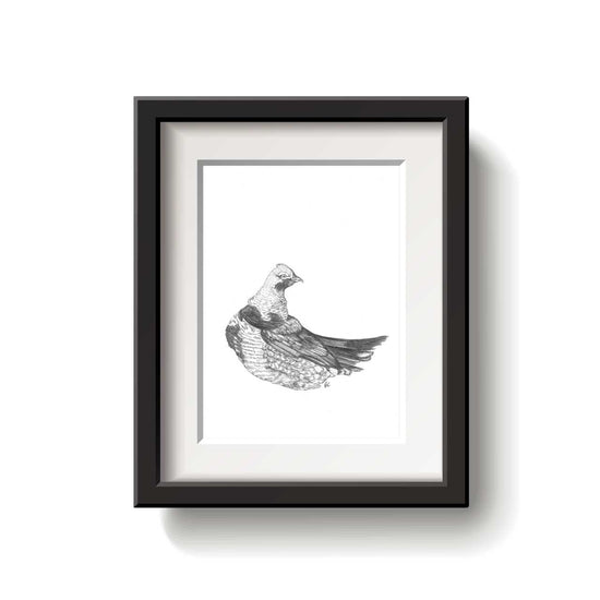 Black and white artwork of a Spruce Grouse bird on a white background