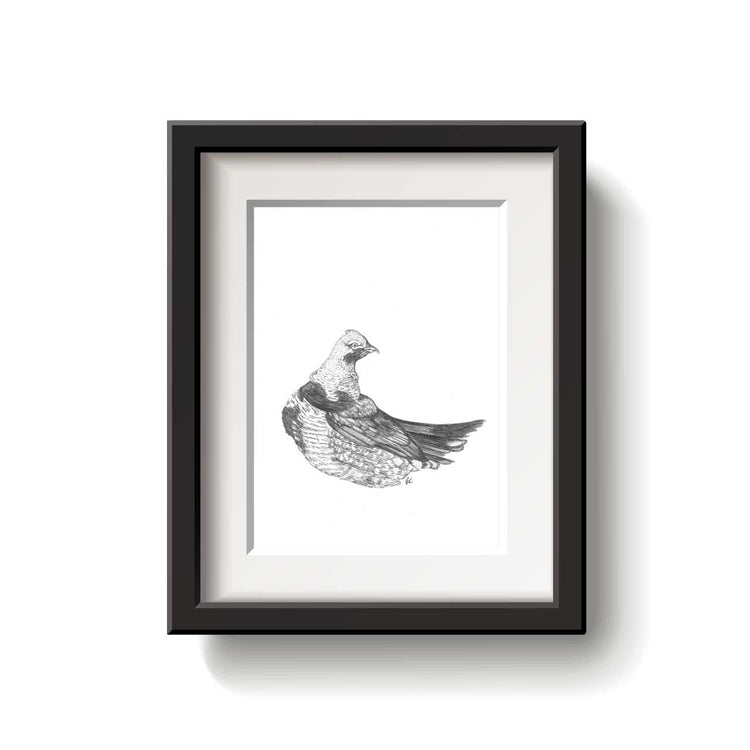 Black and white artwork of a Spruce Grouse bird on a white background
