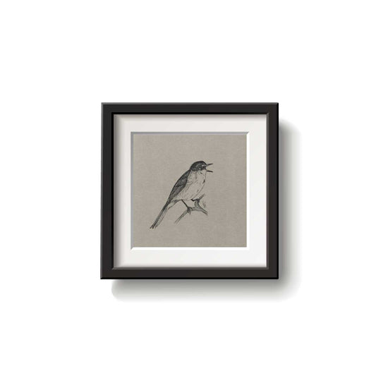A framed bird drawing on a white background.