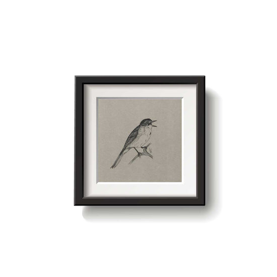 A framed bird drawing on a white background.