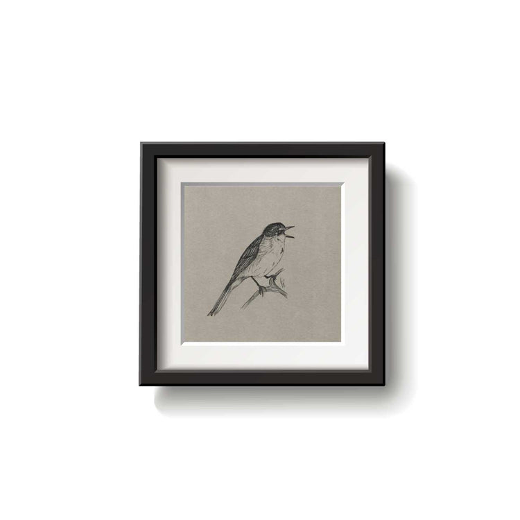 A framed bird drawing on a white background.